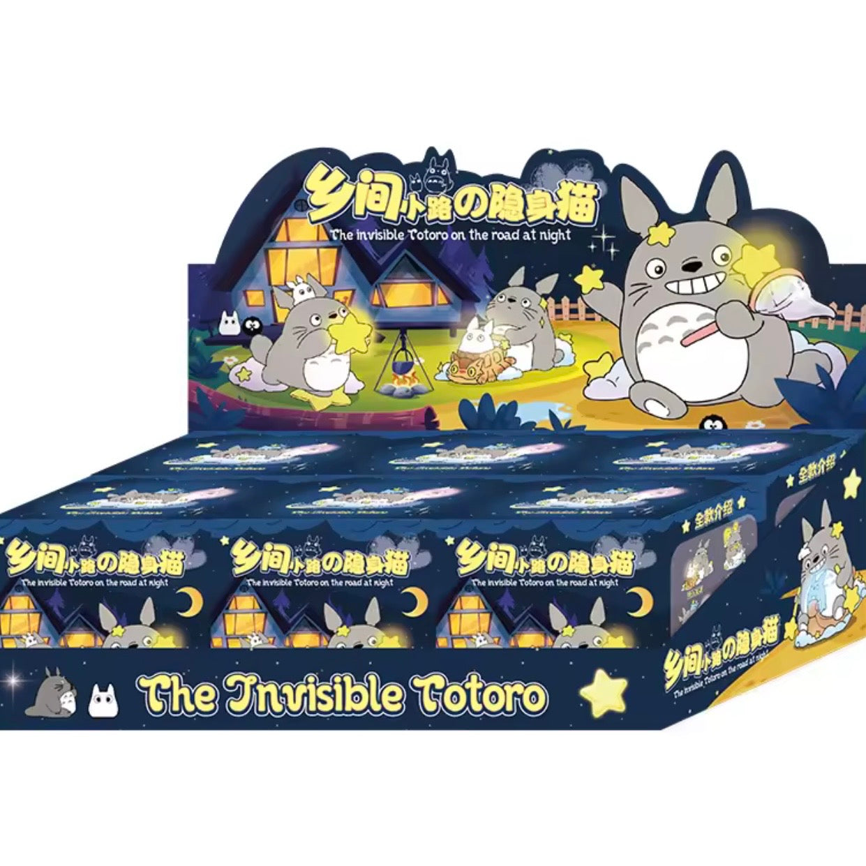 Blind Box Sorpresa “Totoro”