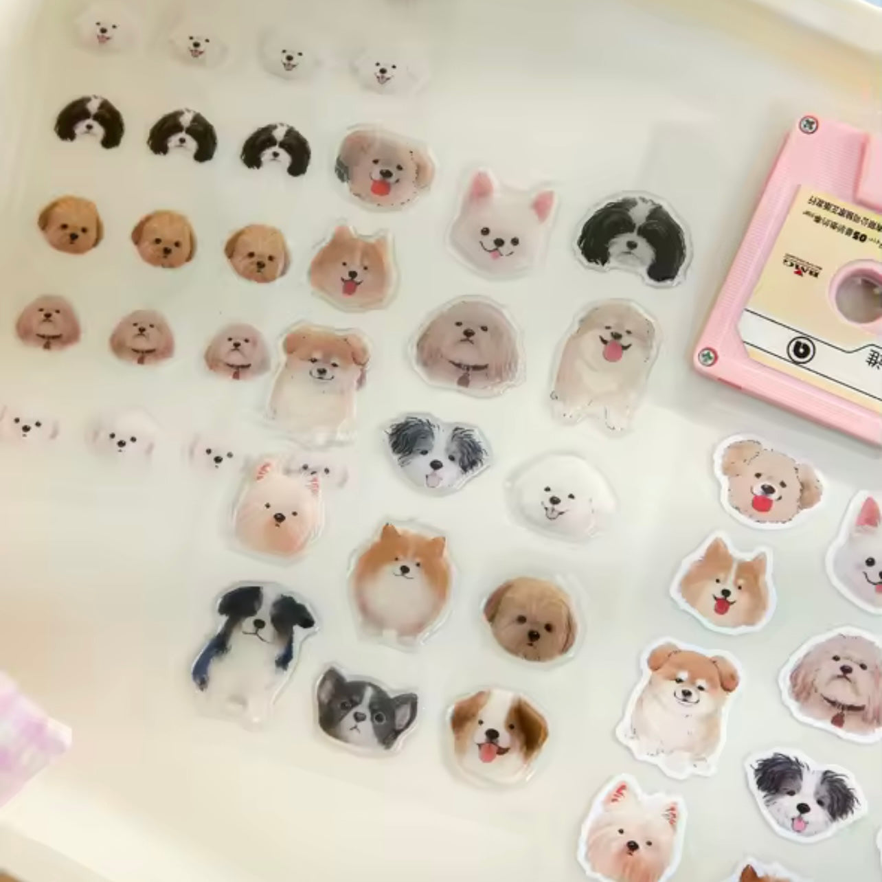 Set 3 Láminas de Stickers “Perros y Gatos”.