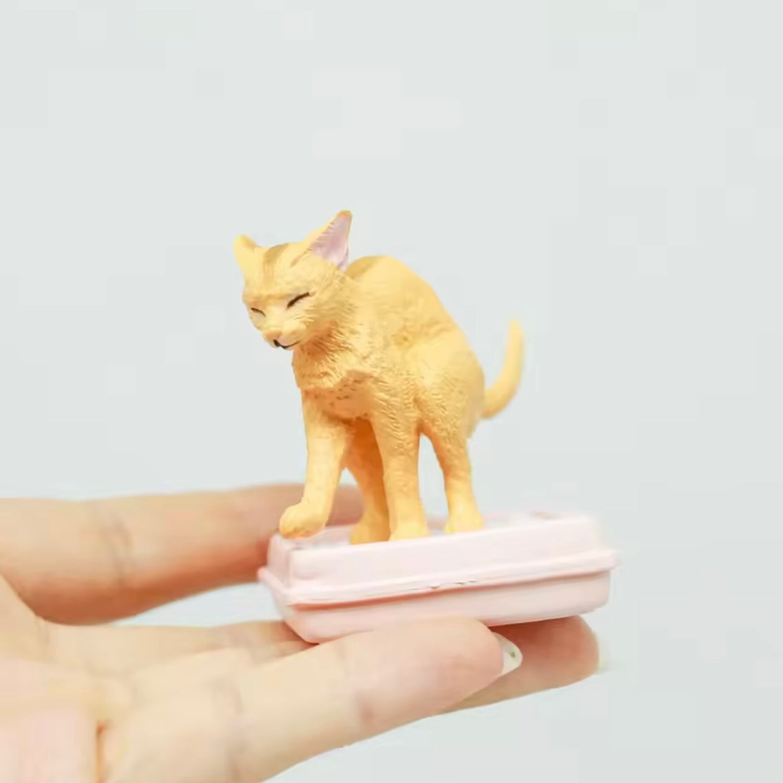 Blind Box Sorpresa “Gatito en la Vida Diaria”