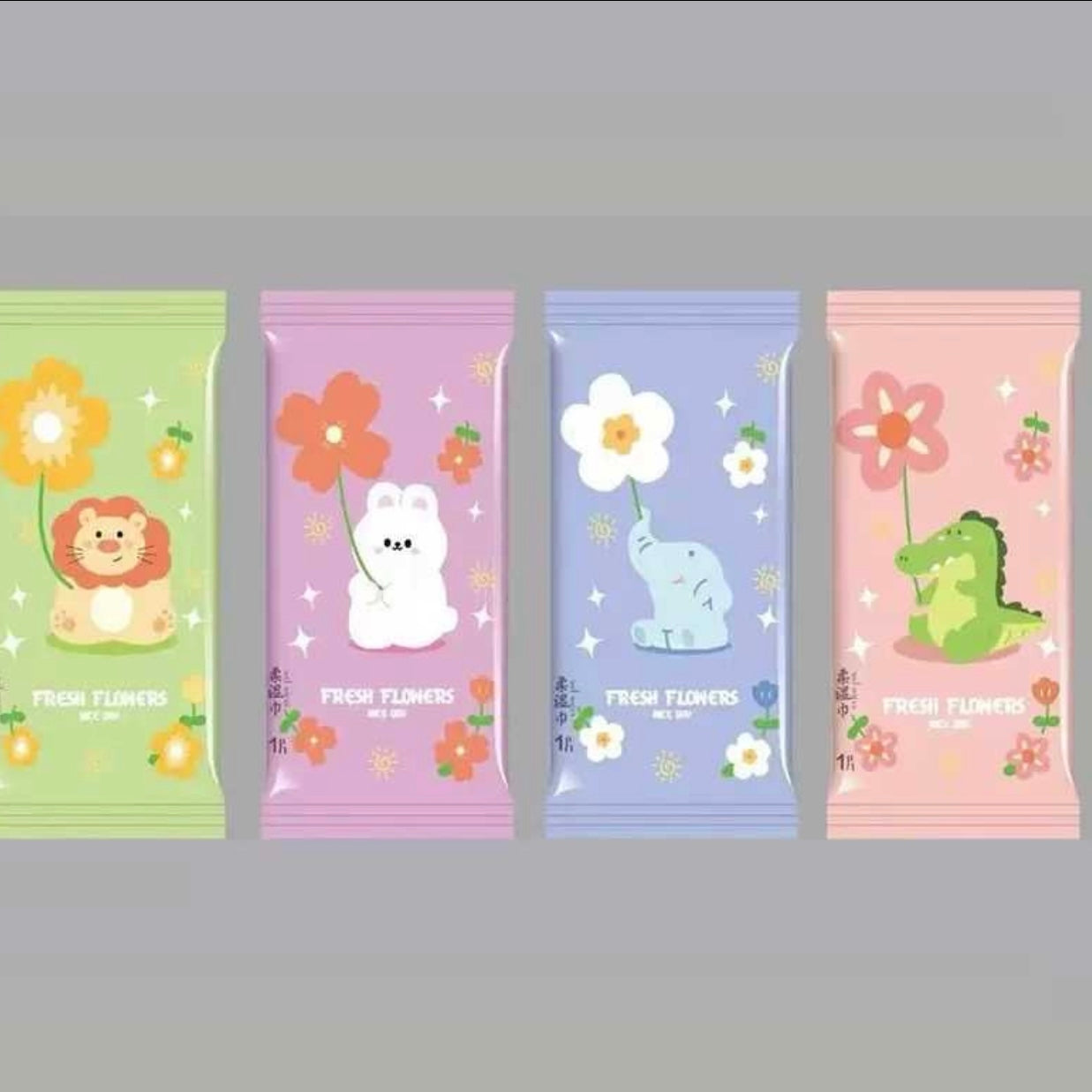 Set 10 toallitas Húmedas