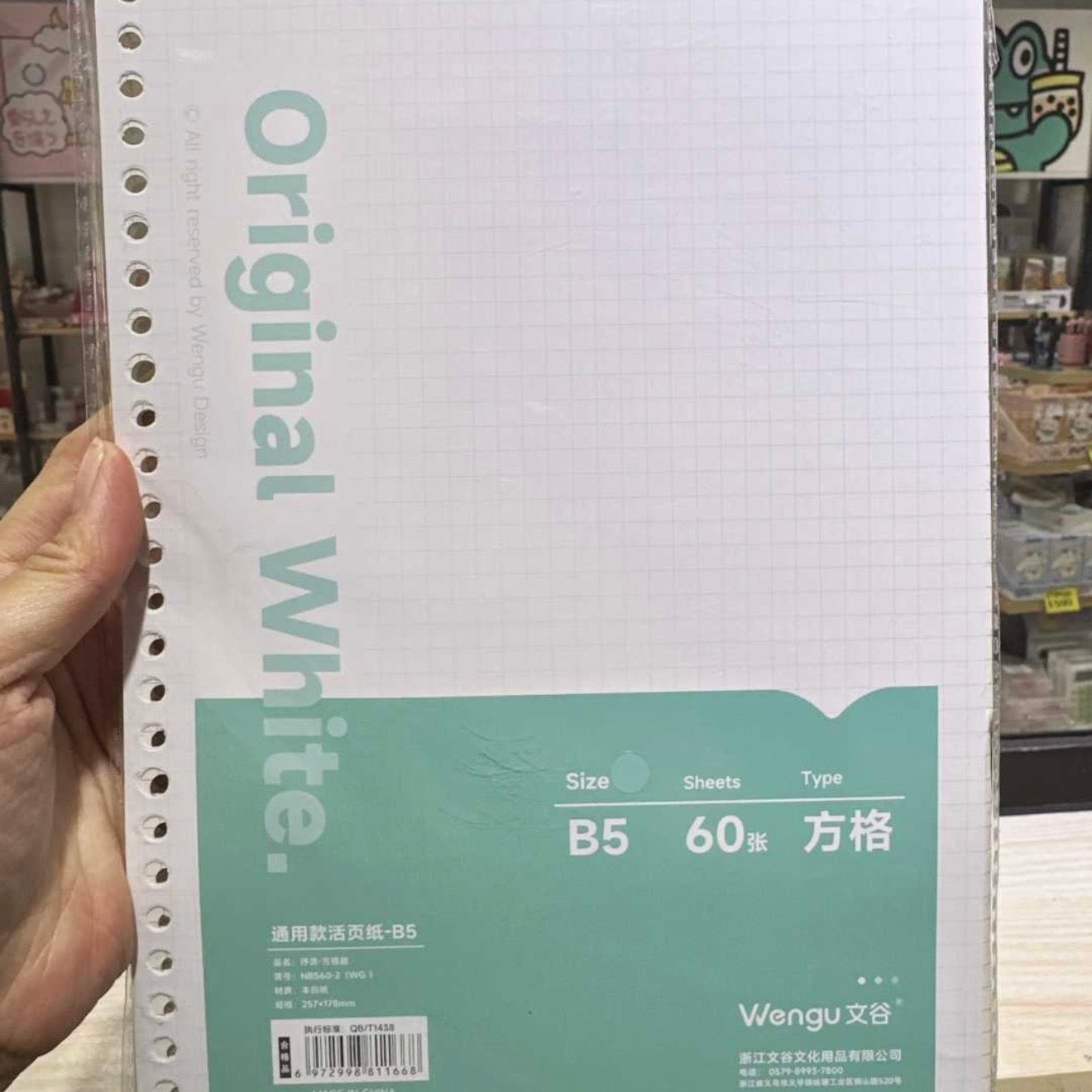 Repuesto 60 Hojas para Binder “Cuadros”. Tamaño B5