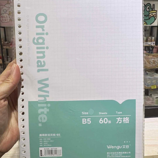 Repuesto 60 Hojas para Binder “Cuadros”. Tamaño B5