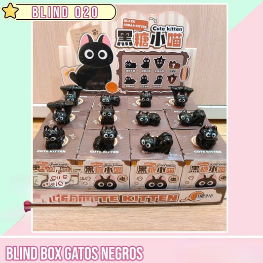 Blind Box Sorpresa “Gato Negro”